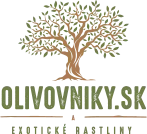 olivovniky.sk